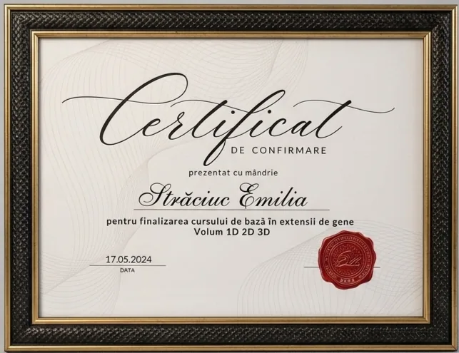 Certificate și lucrări ale Emilia Straciuc